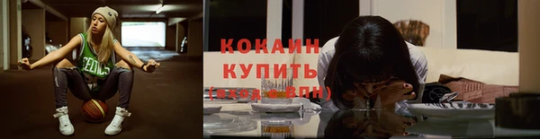 прущие грибы Бугульма