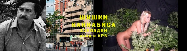 ГАЛЛЮЦИНОГЕННЫЕ ГРИБЫ Краснотурьинск